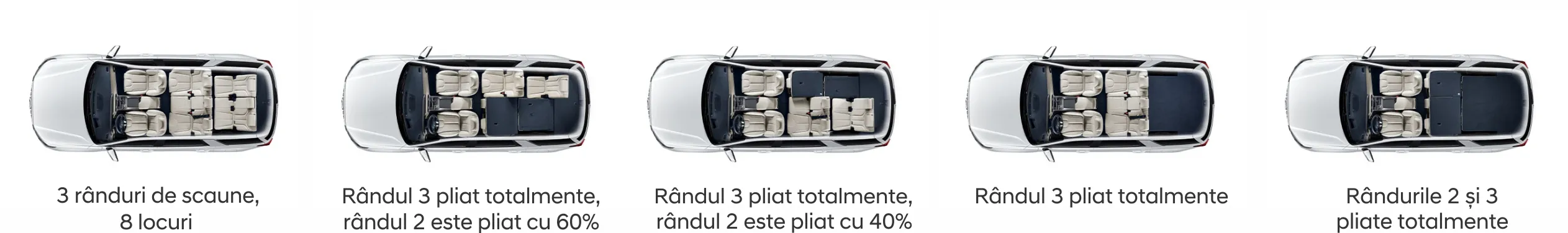 Palisade poate găzdui confortabil până la opt persoane, în funcție de configurație.